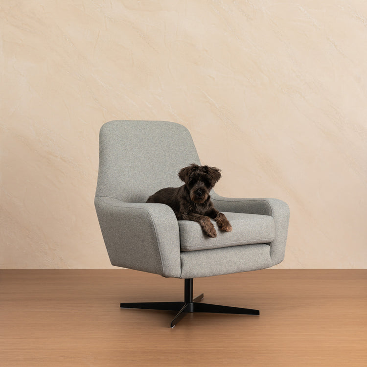 Knowledge Swivel chair