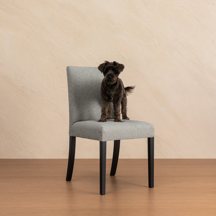 Knowledge Dining chair