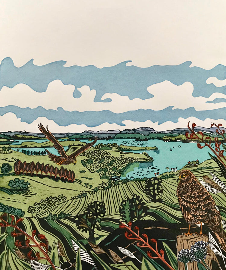 Art by Vivien Davimes - Harrier Hawks/Kahu at Mahurangi Regional Park 1/12
